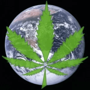 Cannabis World