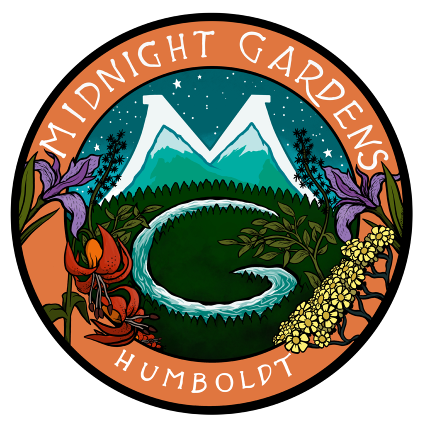 Midnight Gardens